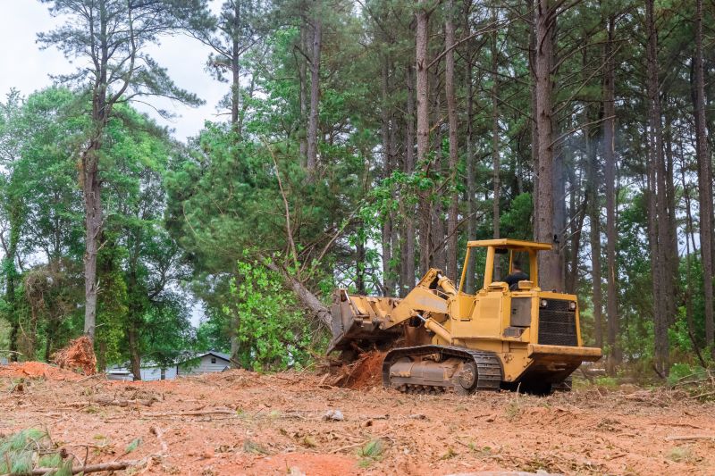 Bulldozer Clearing in Salt Lake City, UT