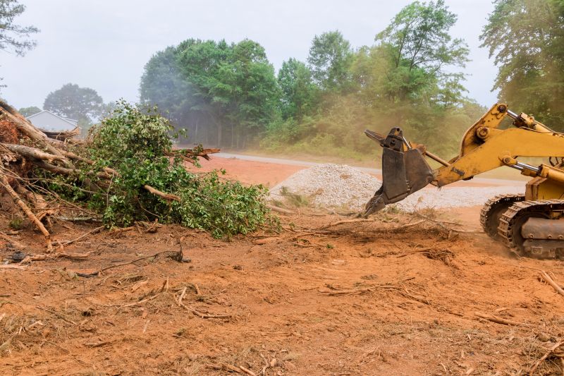 Building Site Clearing in Marietta, GA