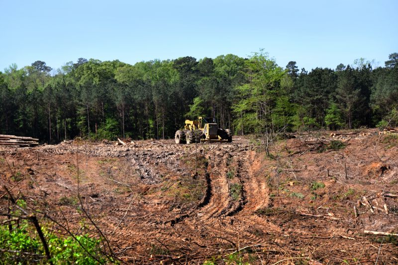 Farm Clearing in Houston, TX