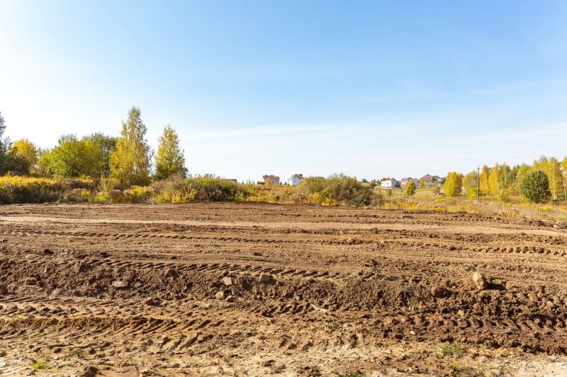 Ground Clearing in Katy, TX