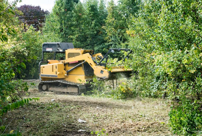 Pasture Clearing in Marietta, GA