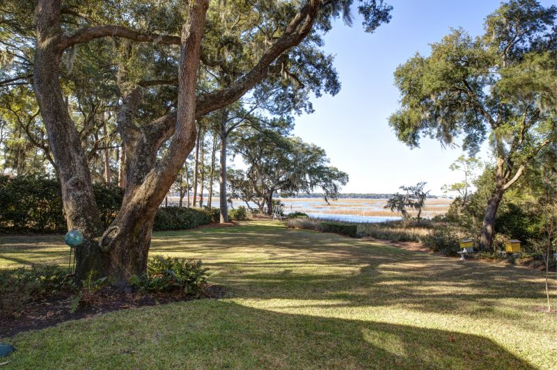 Terrain Clearing in Katy, TX